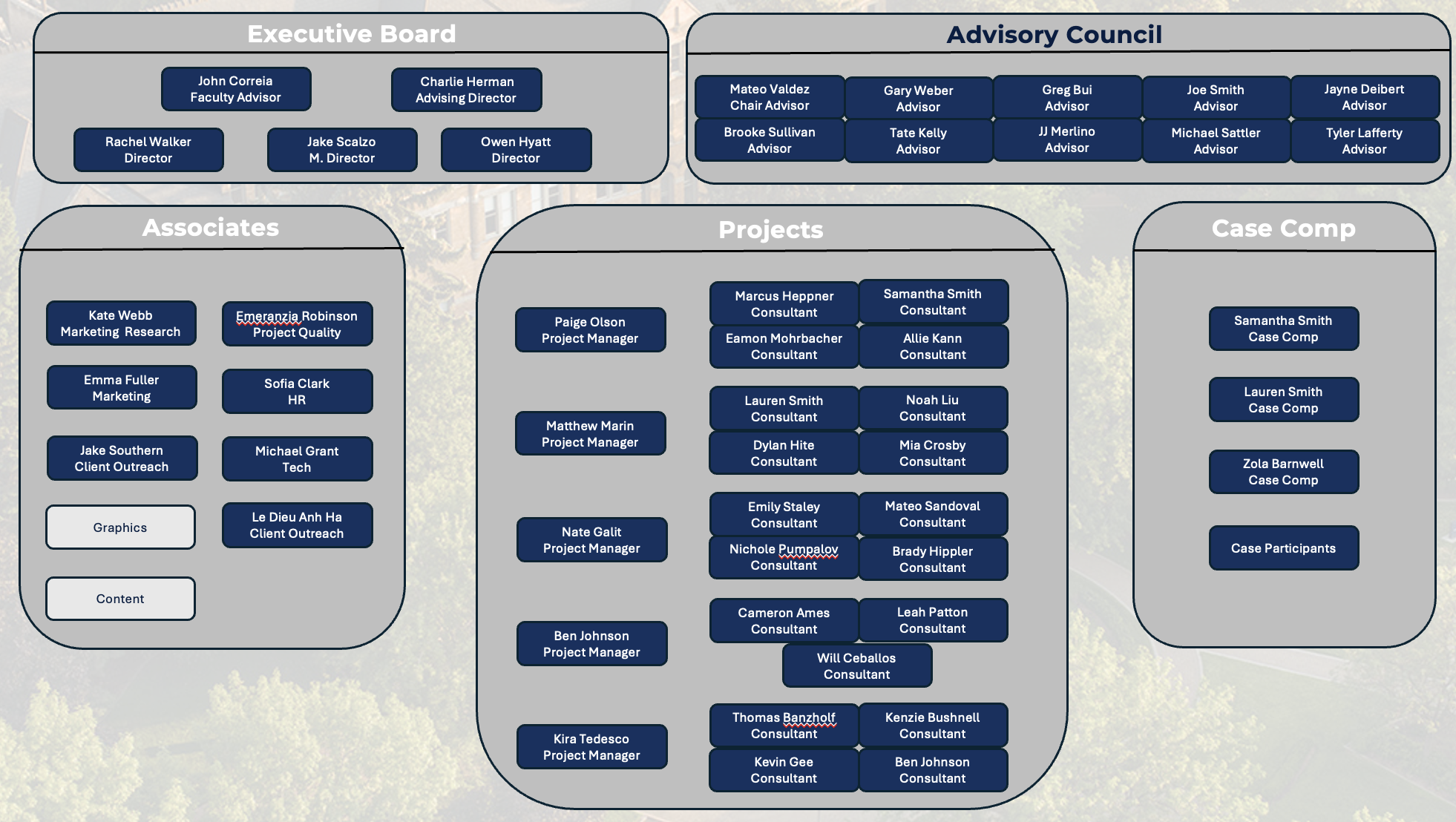Associates org structure